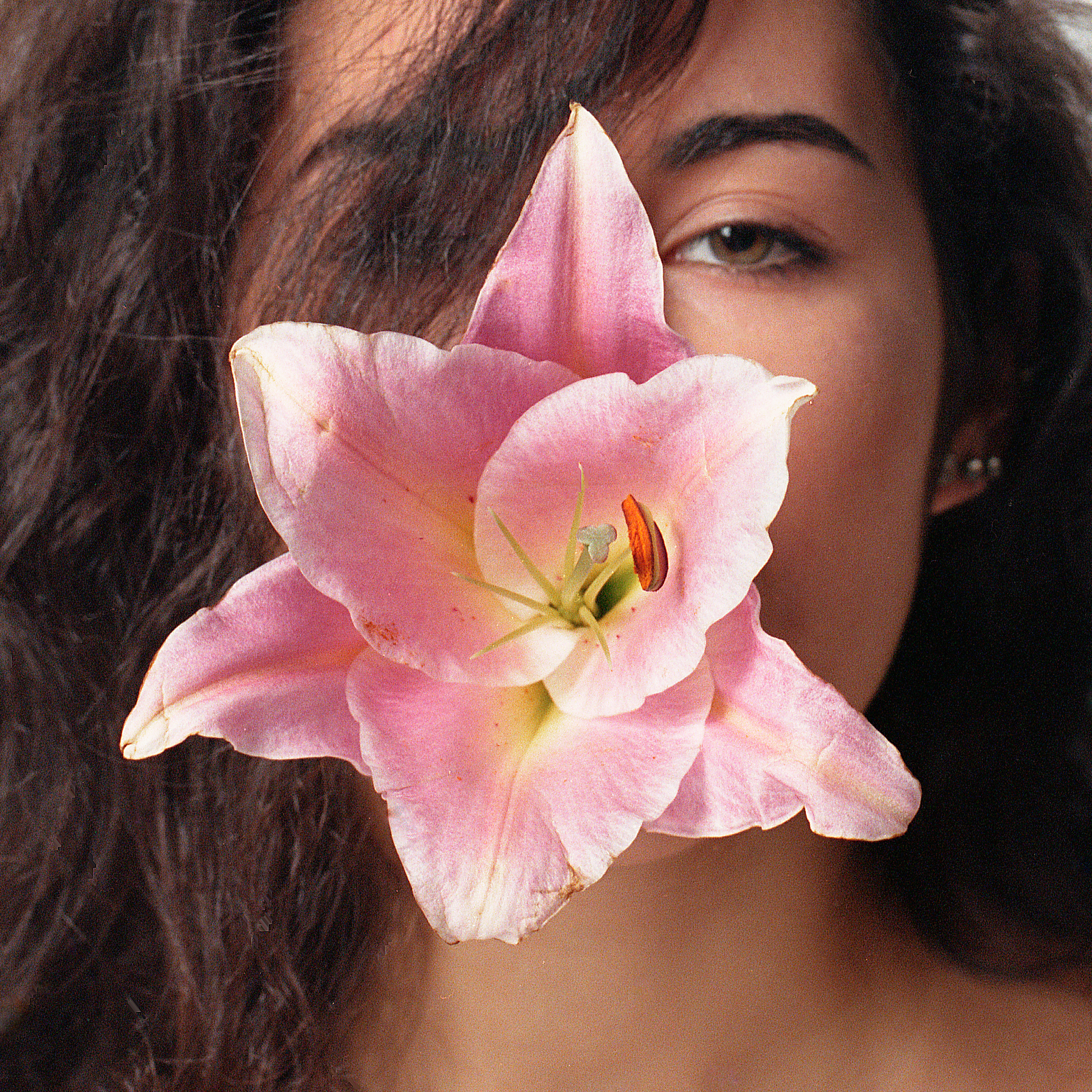 Flower 3